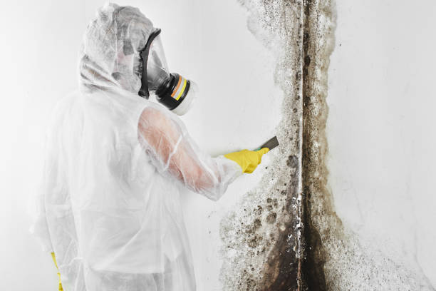 Best Airborne Mold Testing  in Clear Lake, WI